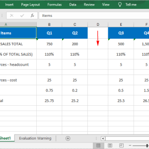 Python in Excel add on Maroc