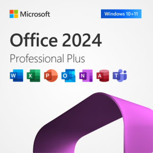 Office LTSC Professional Plus 2024 Commercial Perpetual